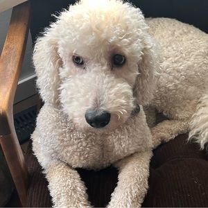 Meet your Posher, Jimmy